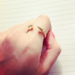 Double End Stud Ring