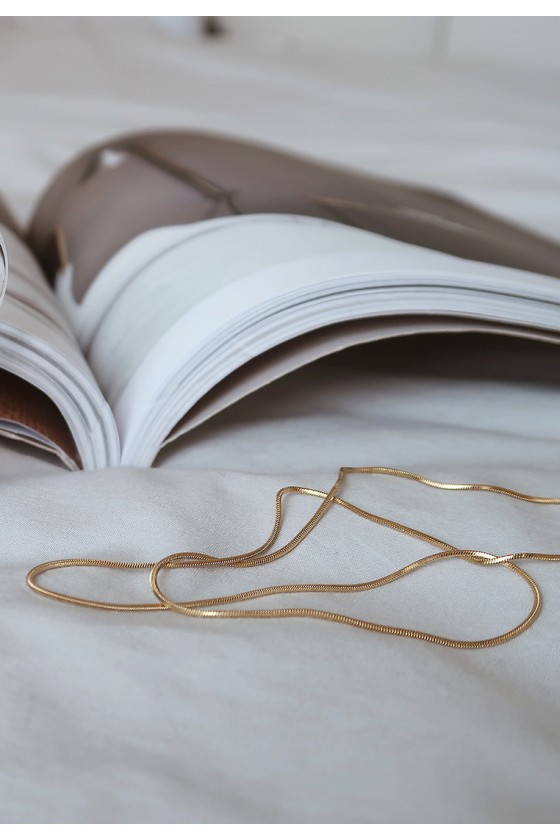 Snake Chain Choker Necklace