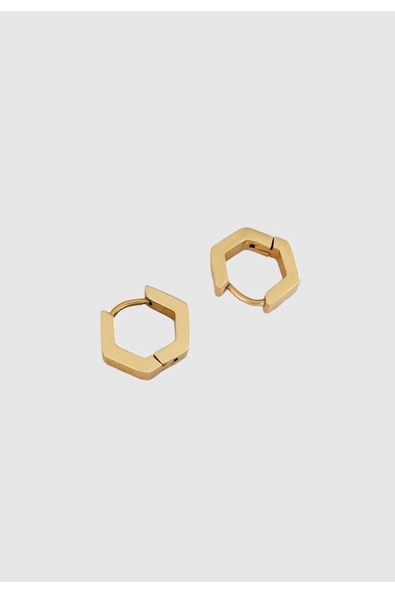 Hexa Huggie Hoops