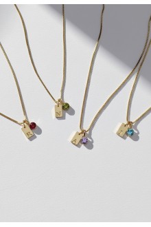 Birthstone Initial Tag Necklace