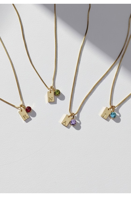 Birthstone Initial Tag Necklace